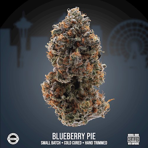 SPR - Blueberry Pie 3.5g