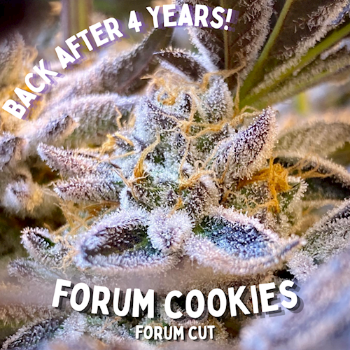 Oz Gardenz - Forum Cookies 3.5g