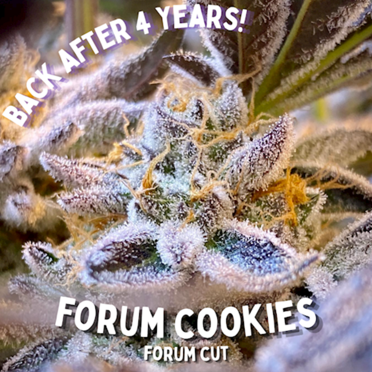 Forum Cookies