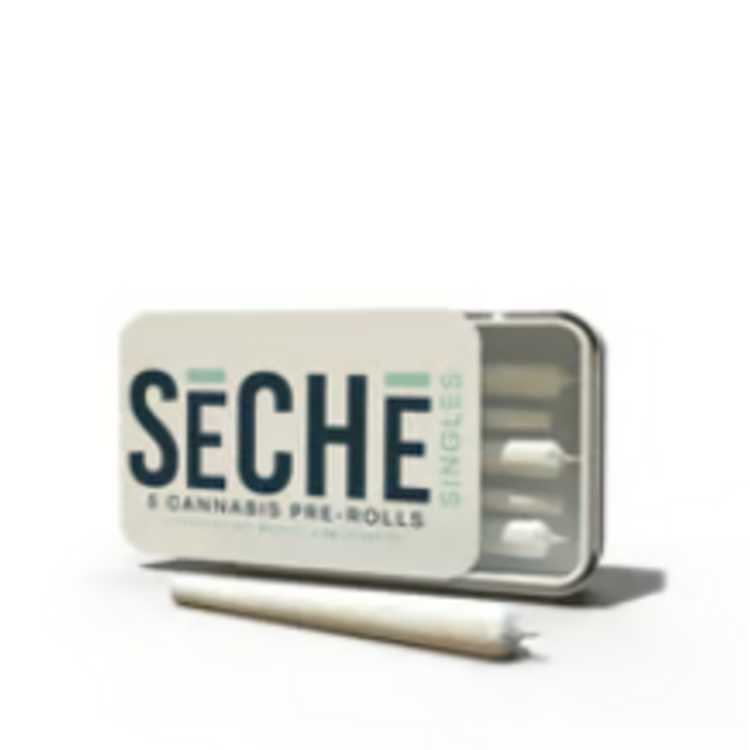 Zesty Parm - JOINT PK - 5 (0.5g) - SECHE SELECT
