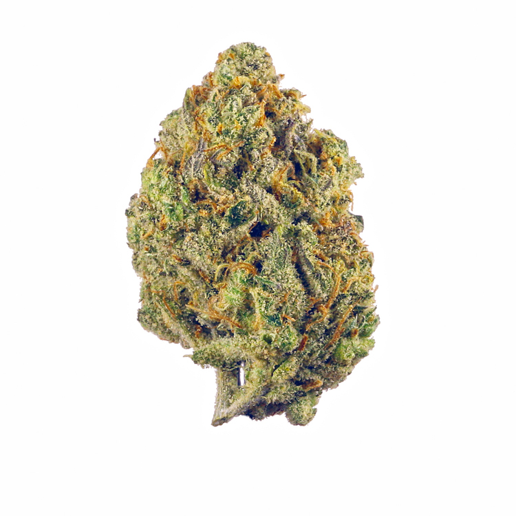 Bubble Goose - (3.5g) - MAYFIELD