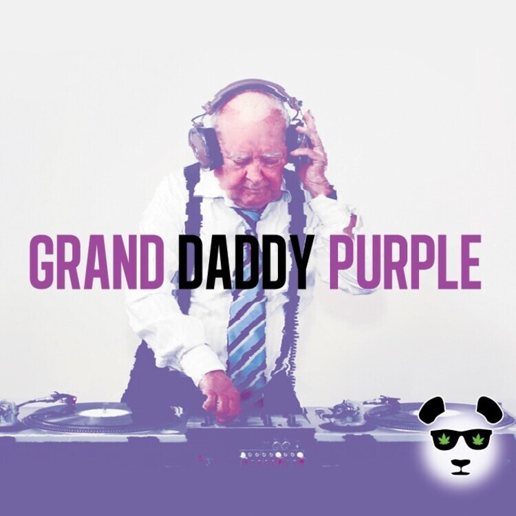 Grand Daddy Purple BX2