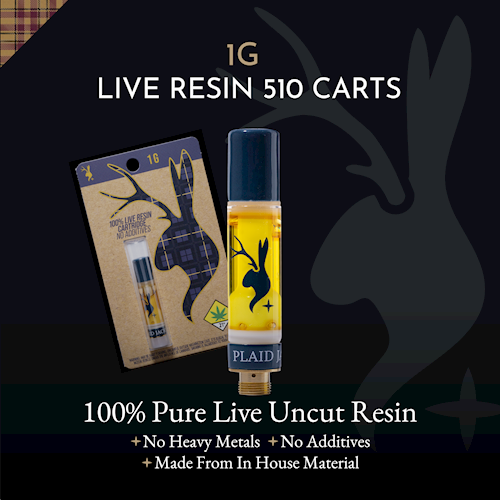 PJA:: Hash Burger - Elevated THC Cured Resin Vape 1g