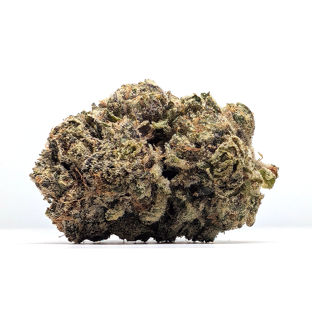 Otis Gardens - Candied Oranges - Platinum - SH