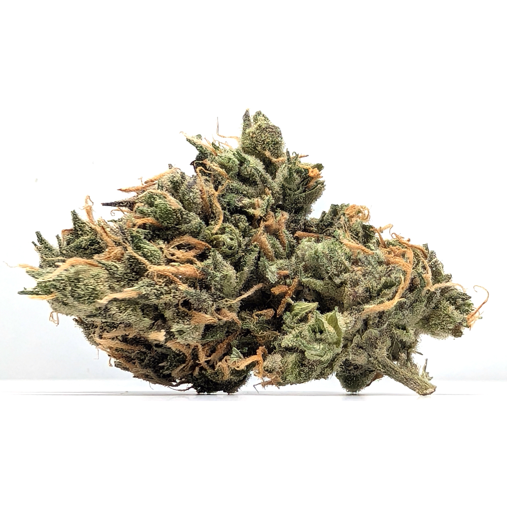 Loud AF - Island Sweet Skunk - Platinum - SH