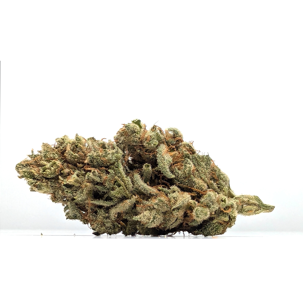 Loud AF - Sour Tangie - Platinum - S