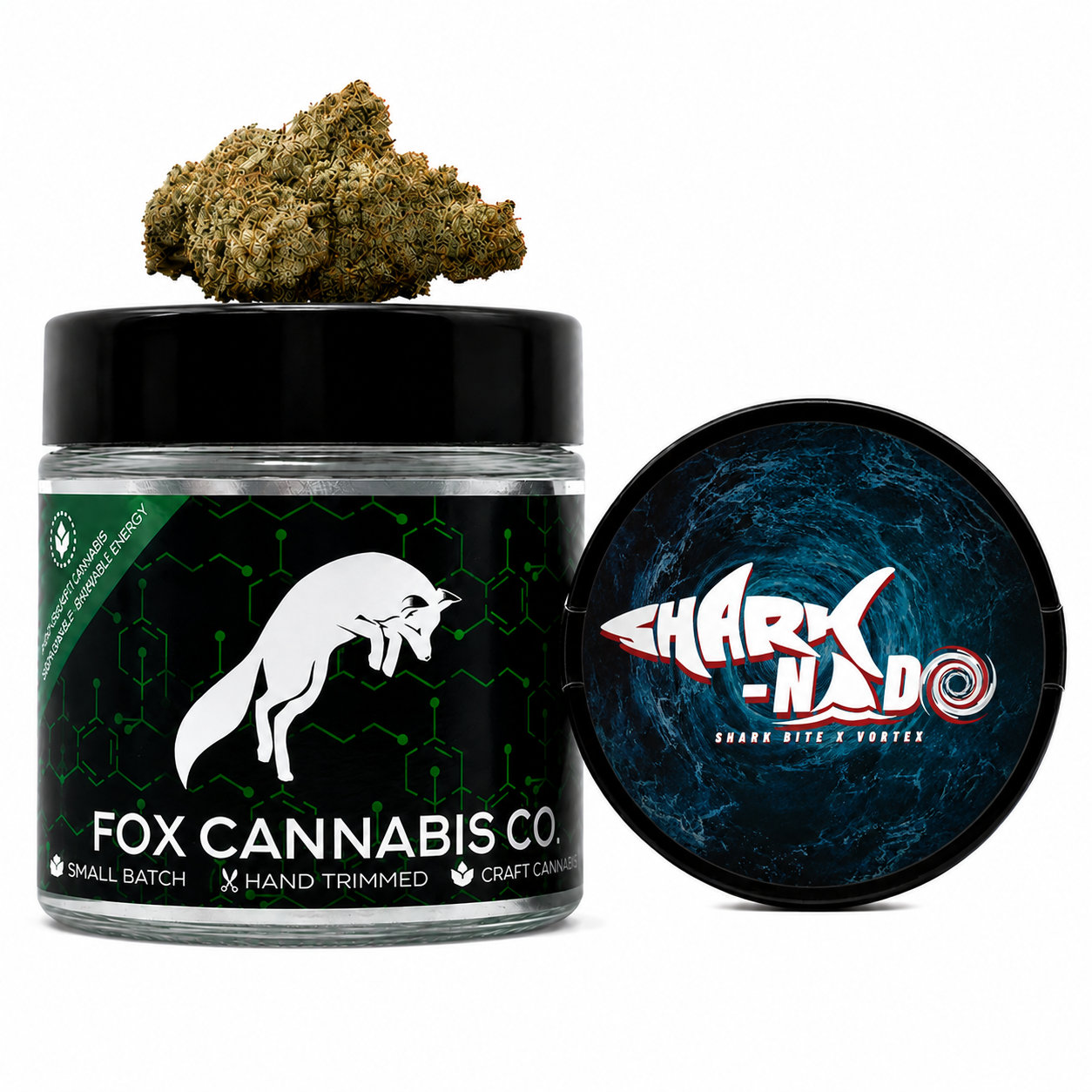 Fox FL Sharknado 1g