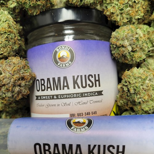 Bondi FL Obama Kush 1g