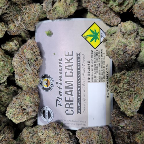 Bondi FL Platinum Cream Cake 1g