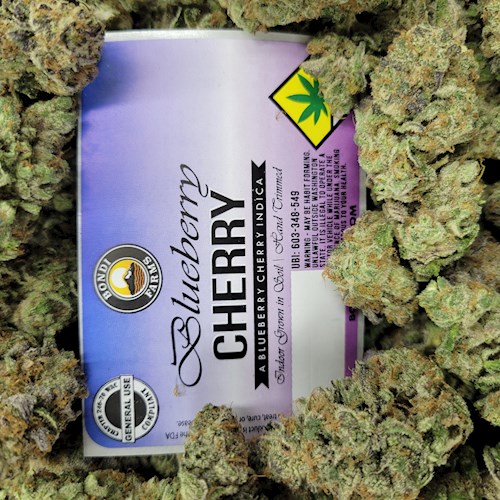 Bondi FL Blueberry Cherry 1g