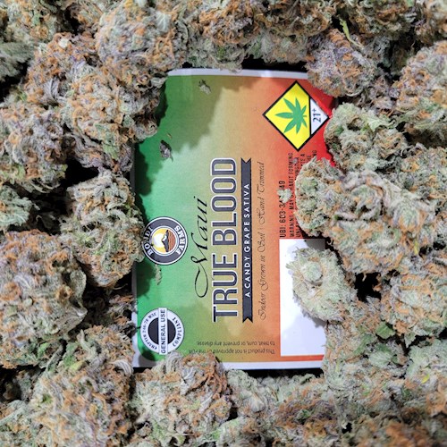 Bondi FL Maui Trueblood 1g