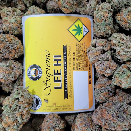 Bondi FL Supreme Lee Hi 1g