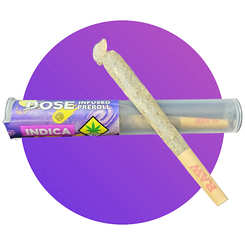 Dose - Afgani Hash Plant (I) - Infused Pre-roll - Sugar Cone - 1g