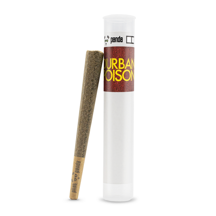 1g Durban Poison Joint Phat Panda