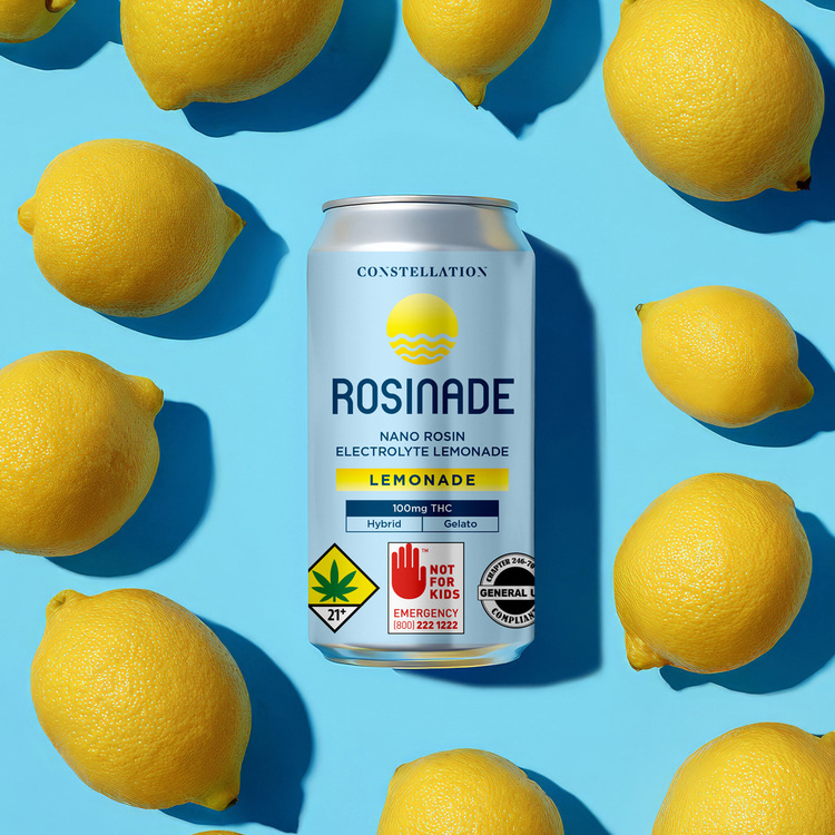 Lemonade - Canned Beverage