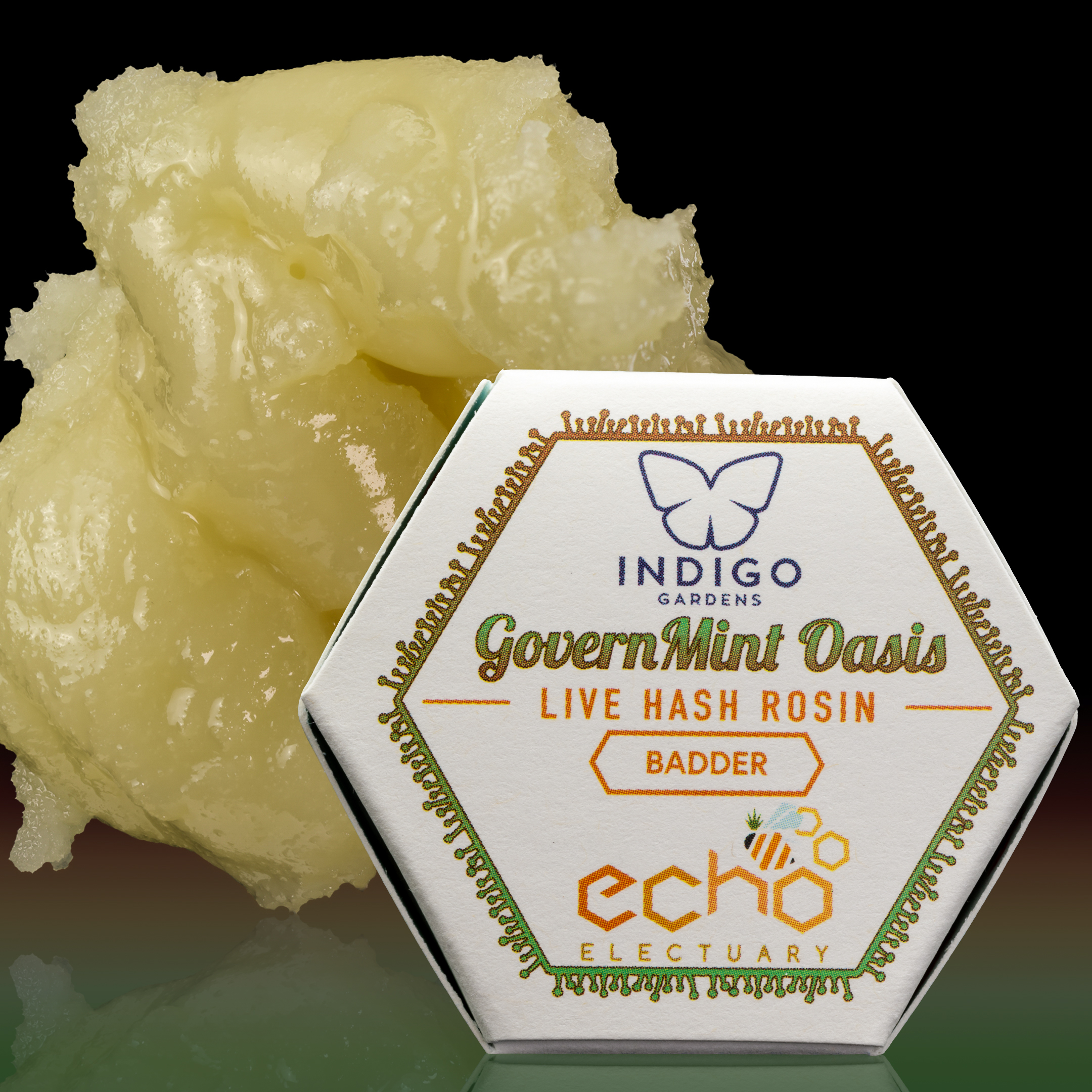 Echo Electuary: Government Oasis
