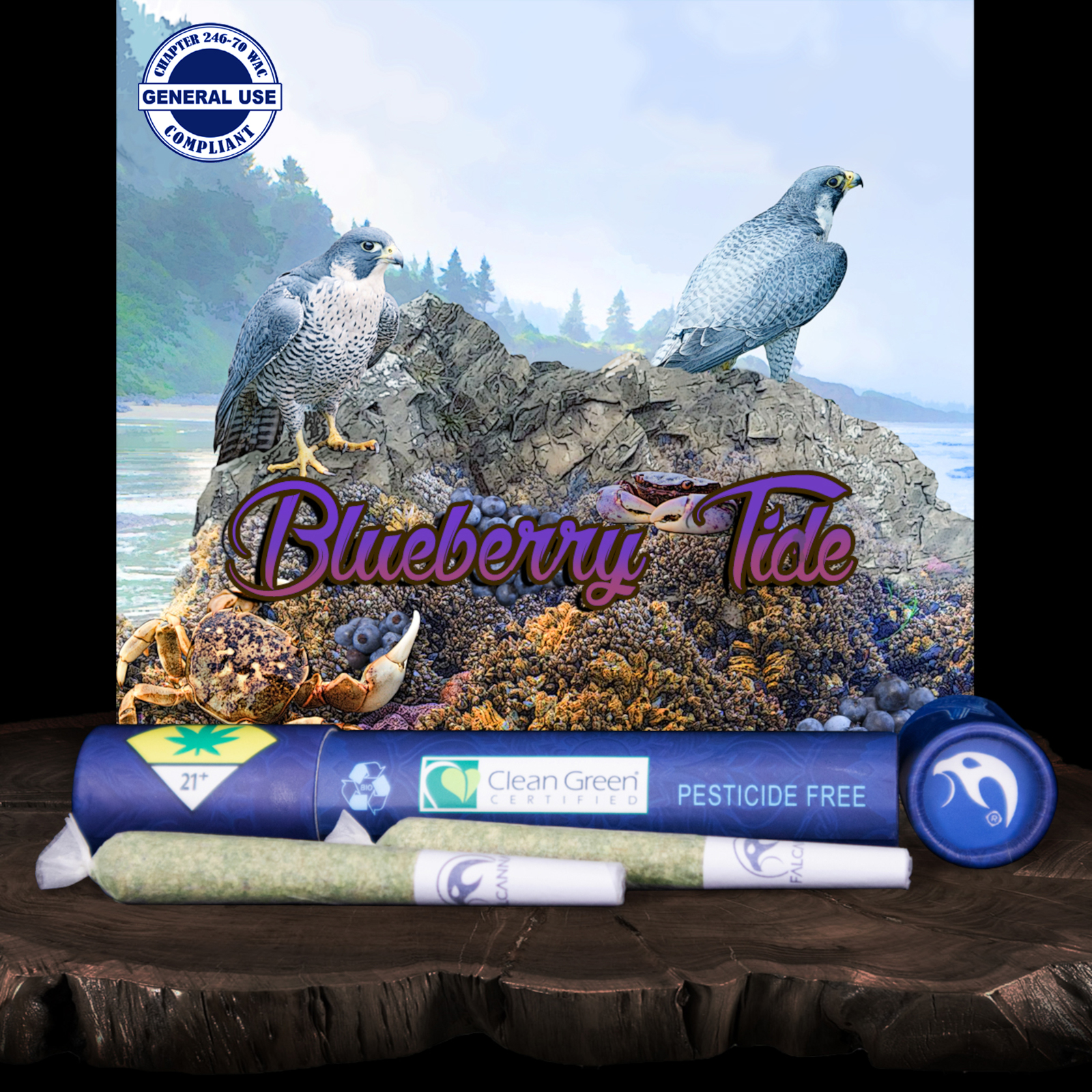 Falcanna PR 2pk Bluebery Tide 1.2g