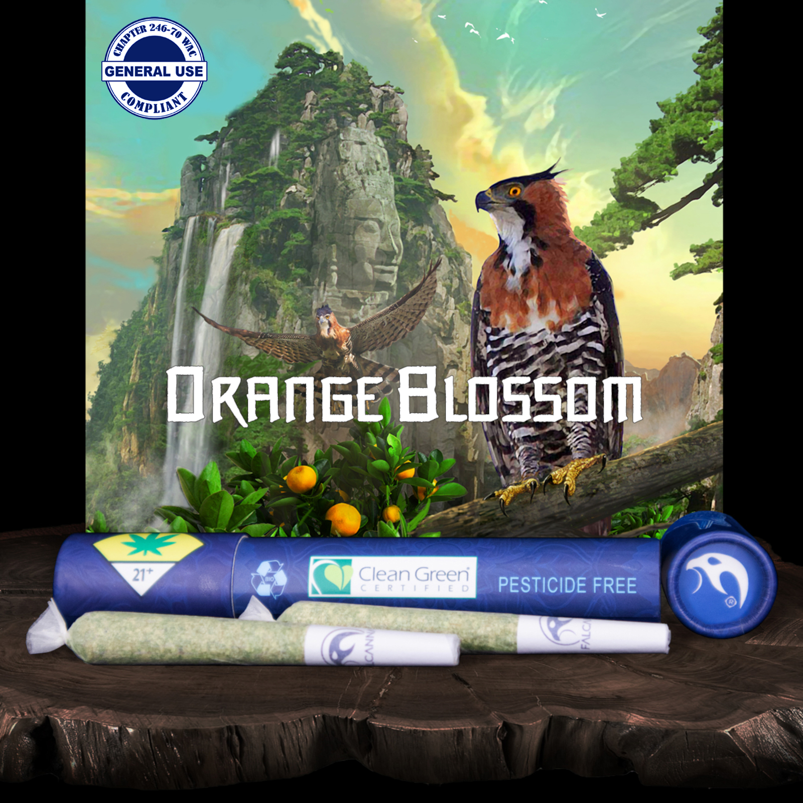 Falcanna PR 2pk Orange Blossom 1.2g
