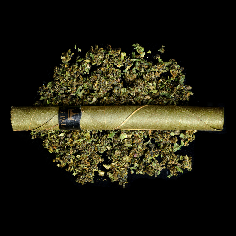 Dose Pre-Roll Infused Borealis Bliss Blunt@1gm