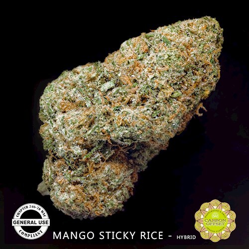 FL JAR4 3.5g RESFREE - Mango Sticky Rice DOH