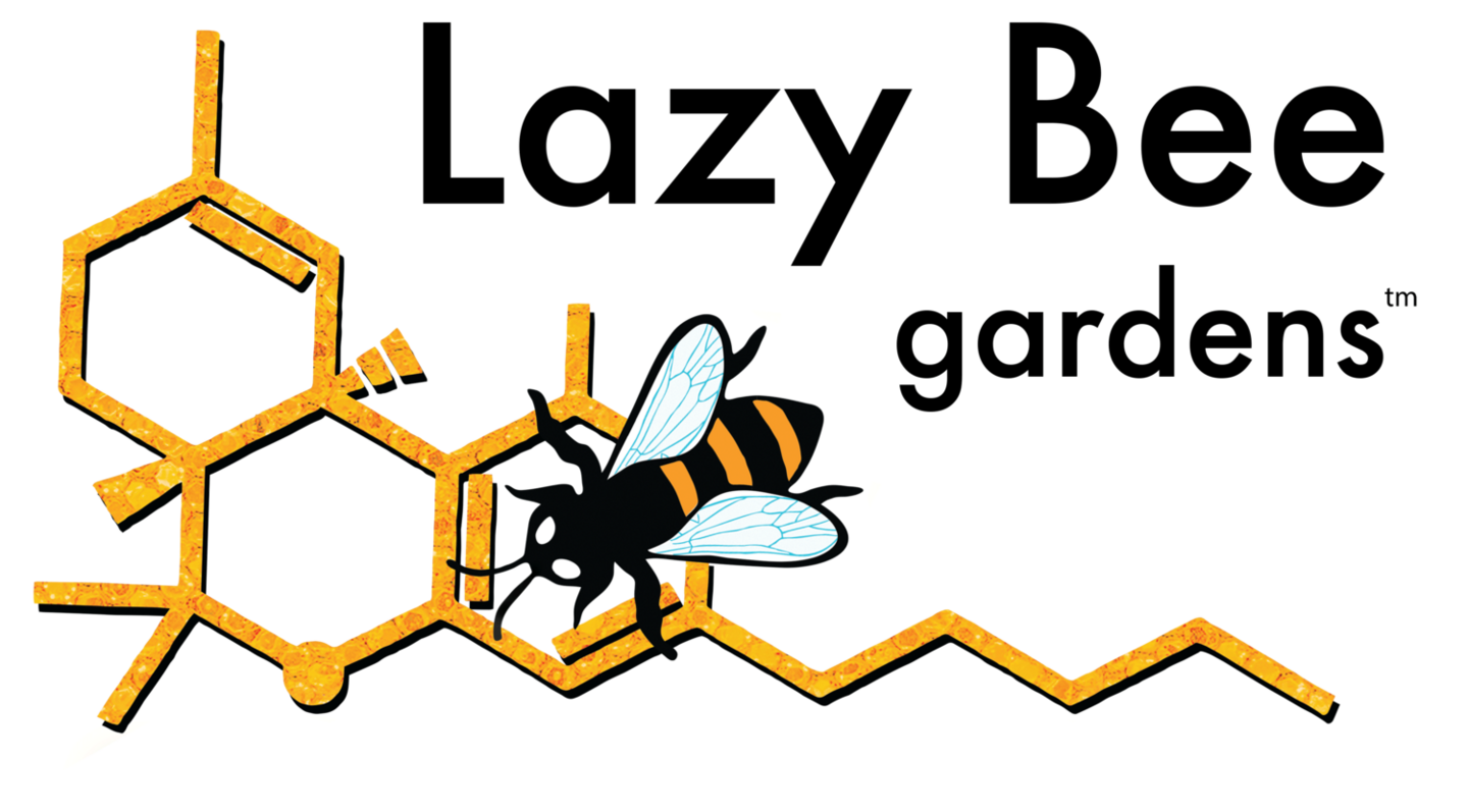 Bored N Buzzed - Kirkland | 11516 124th Ave NE, Kirkland, WA 98033, image size:1440x797