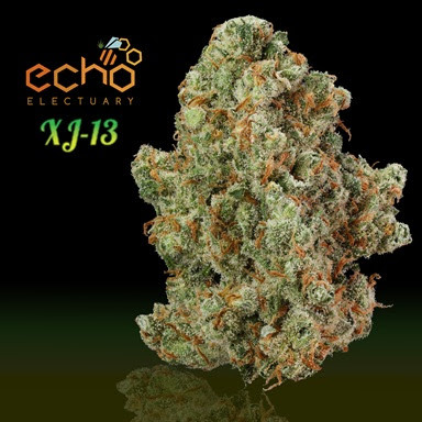 Echo Electuary: Xj-13