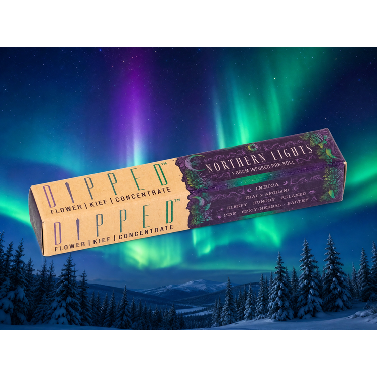 Northern Lights - IPR