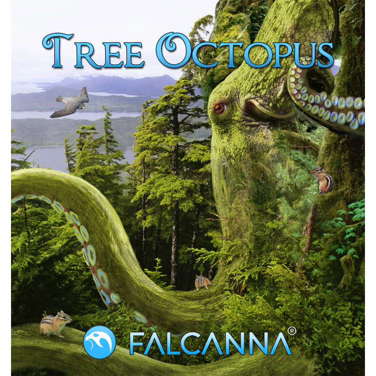 FALCANNA: TREE OCTOPUS - 3.5 GRAM (FLOWER)