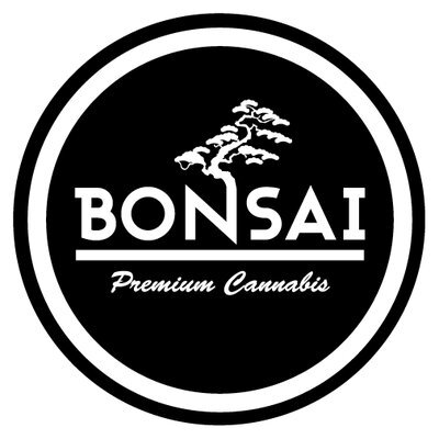 Bonsai Cultivation: Cherry Paloma