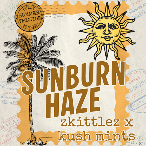 Oz Gardenz - Sunburn Haze 3.5g