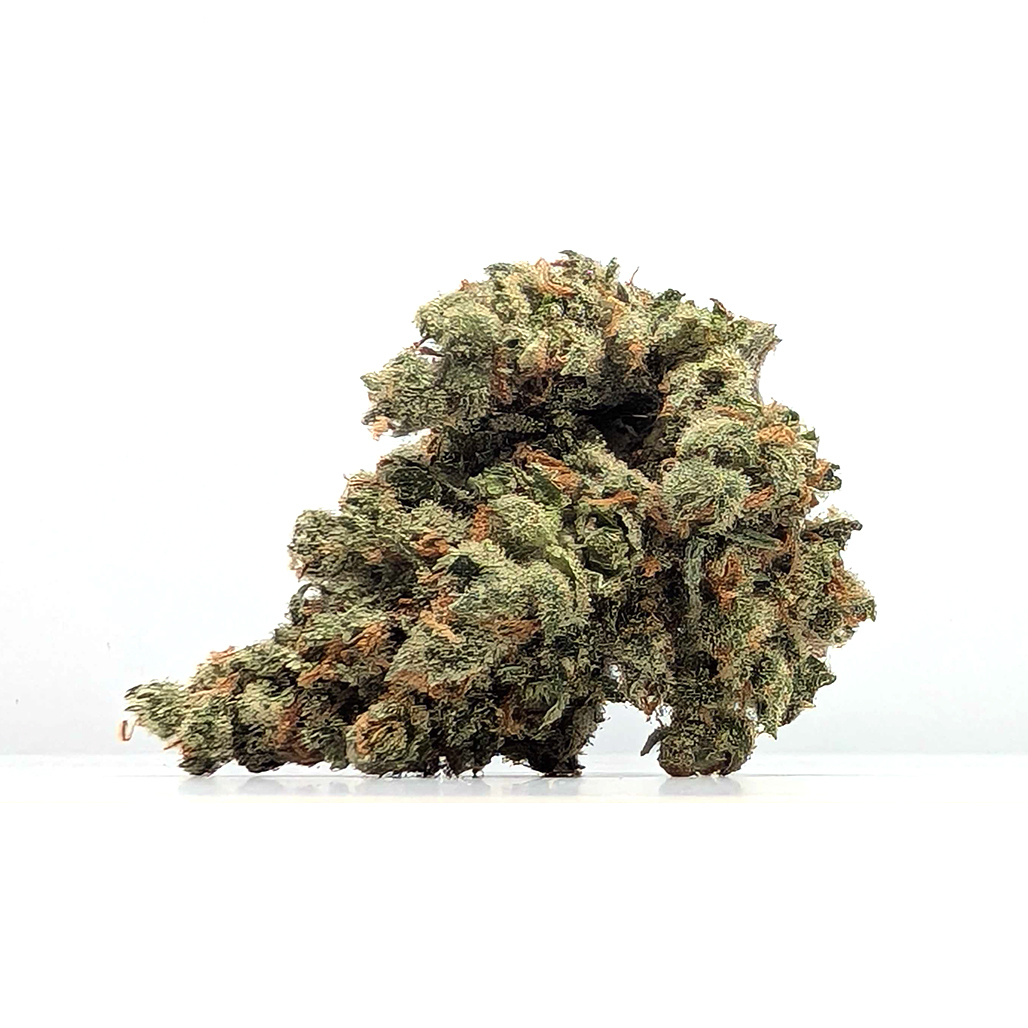 XJ-13