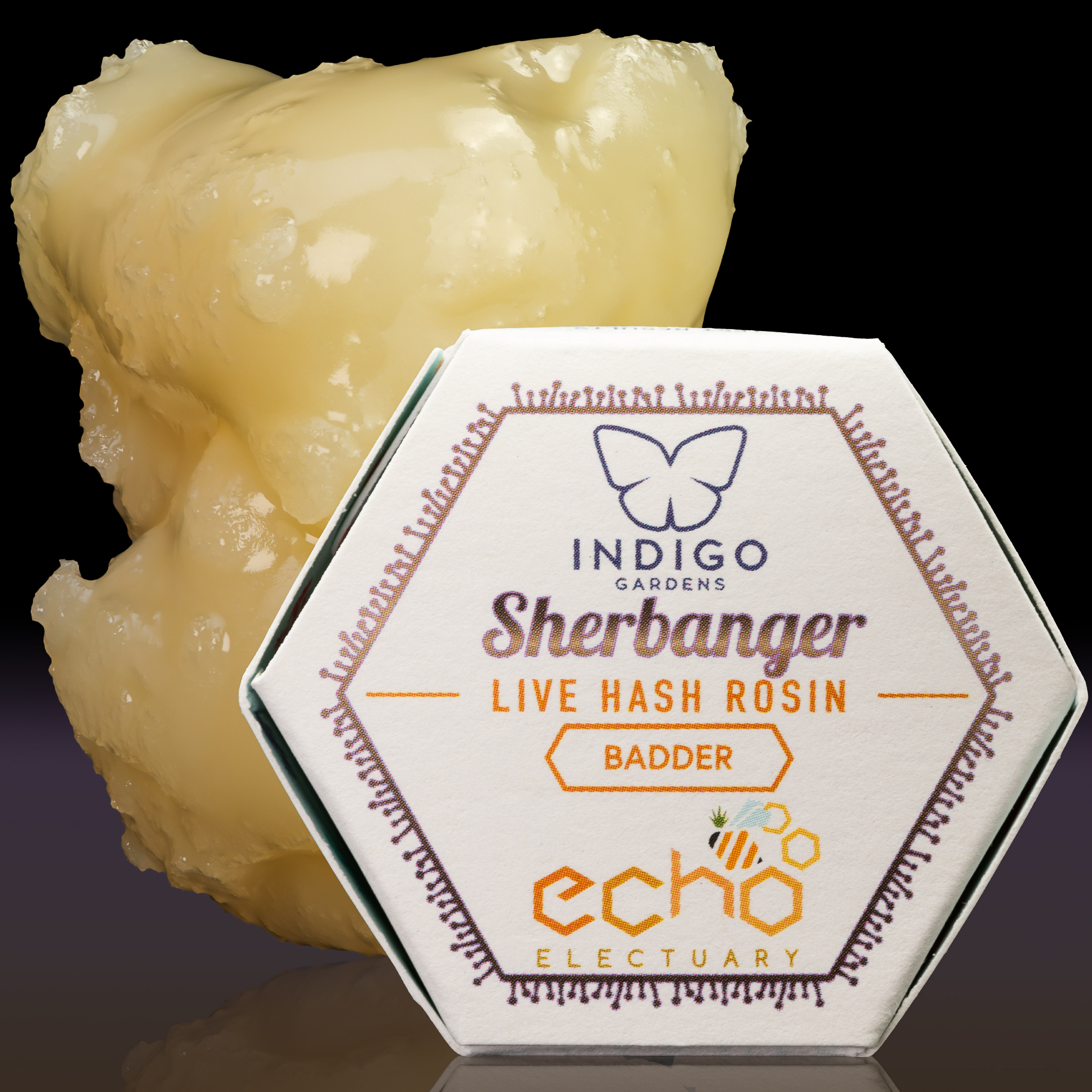 Echo Electuary: Sherbanger Live