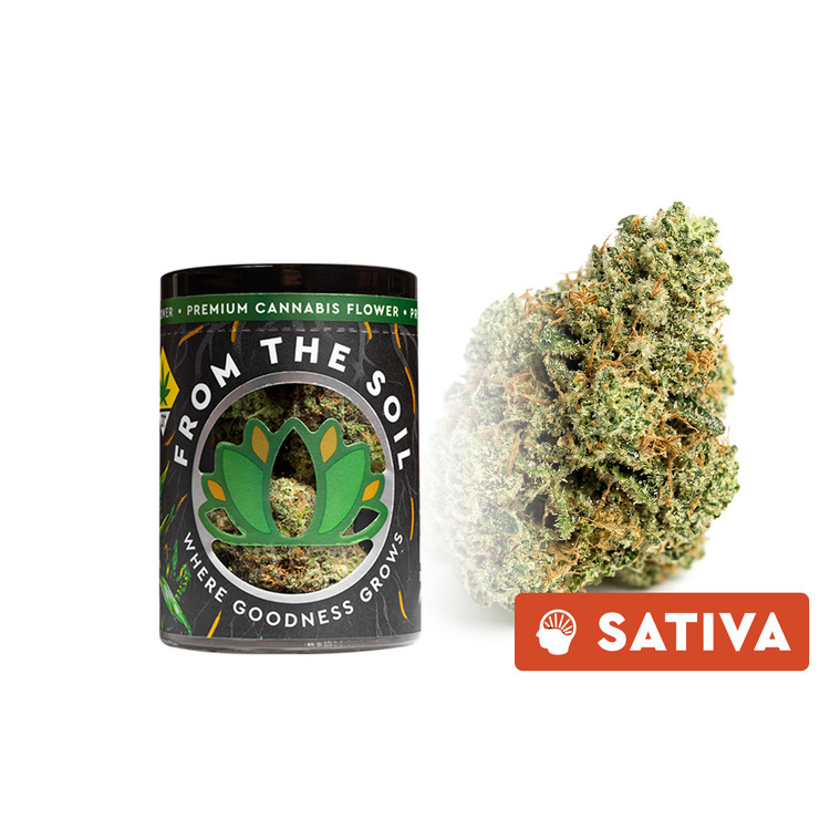 Flower Lemon Amnesia