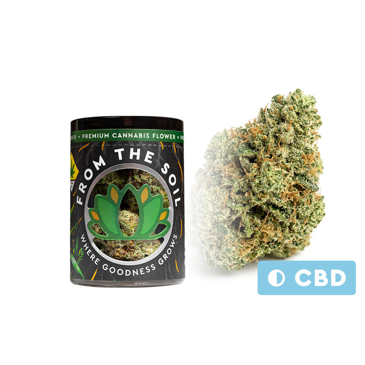 Flower Pennywise CBD