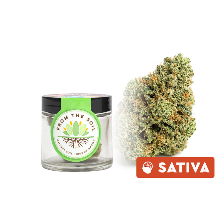 Flower Lemon Amnesia