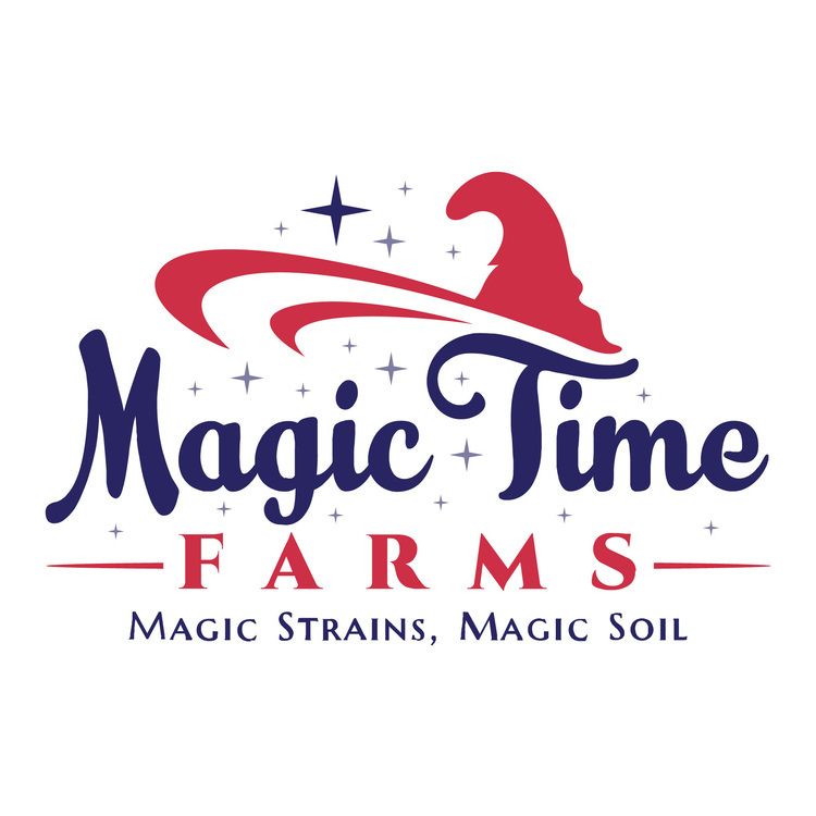 MAGIC TIME : LEMON HAZE SUPREME- 7 GRAMS FLOWER