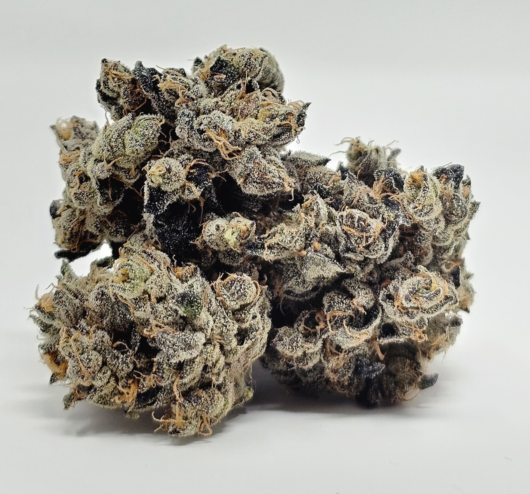 Doghouse - Gas Face - 1g