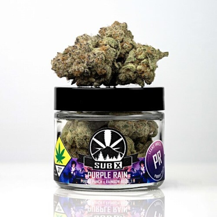 Flower Purple Rain