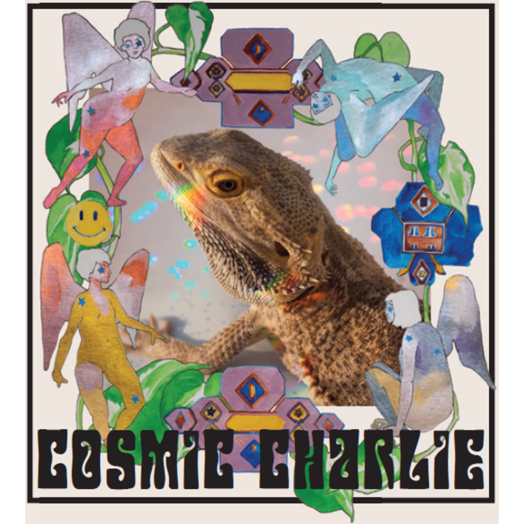Flower Cosmic Charlie