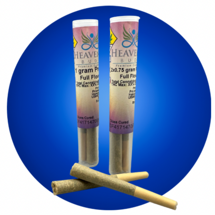Heavenly Pre-roll Apple Fritter 1g
