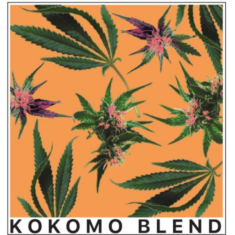 1:3 Preroll Kokomo
