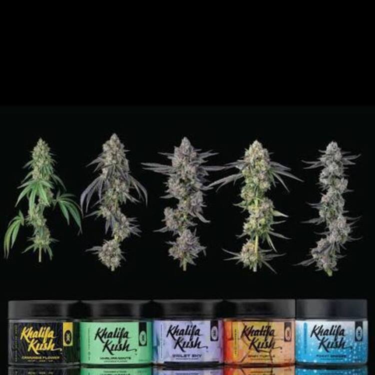 Khalifa Kush Khalifa Mints