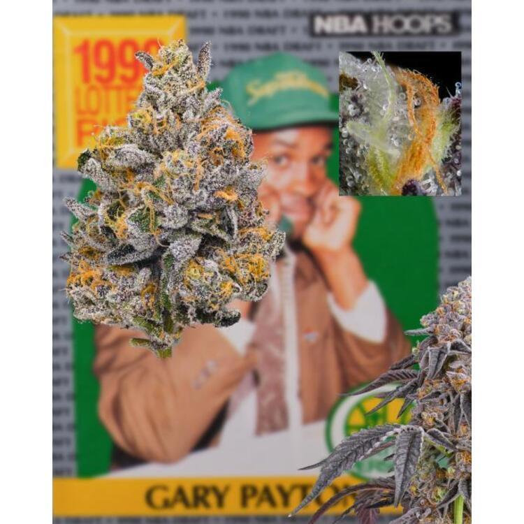 Flower Alley Oop