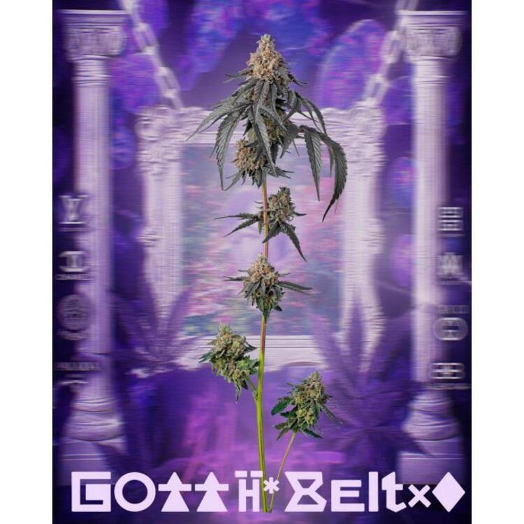 Flower Gotti Belts