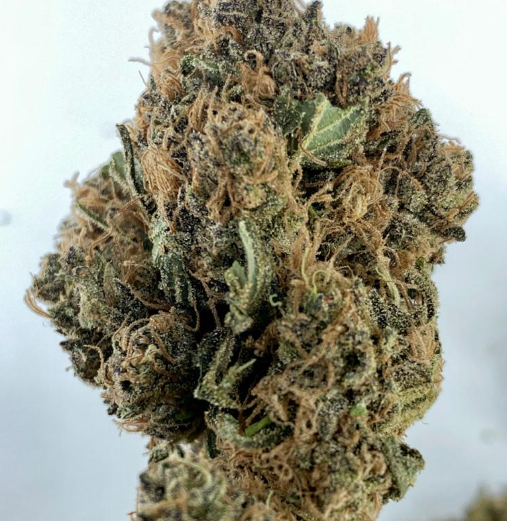 Dragon OG Buds