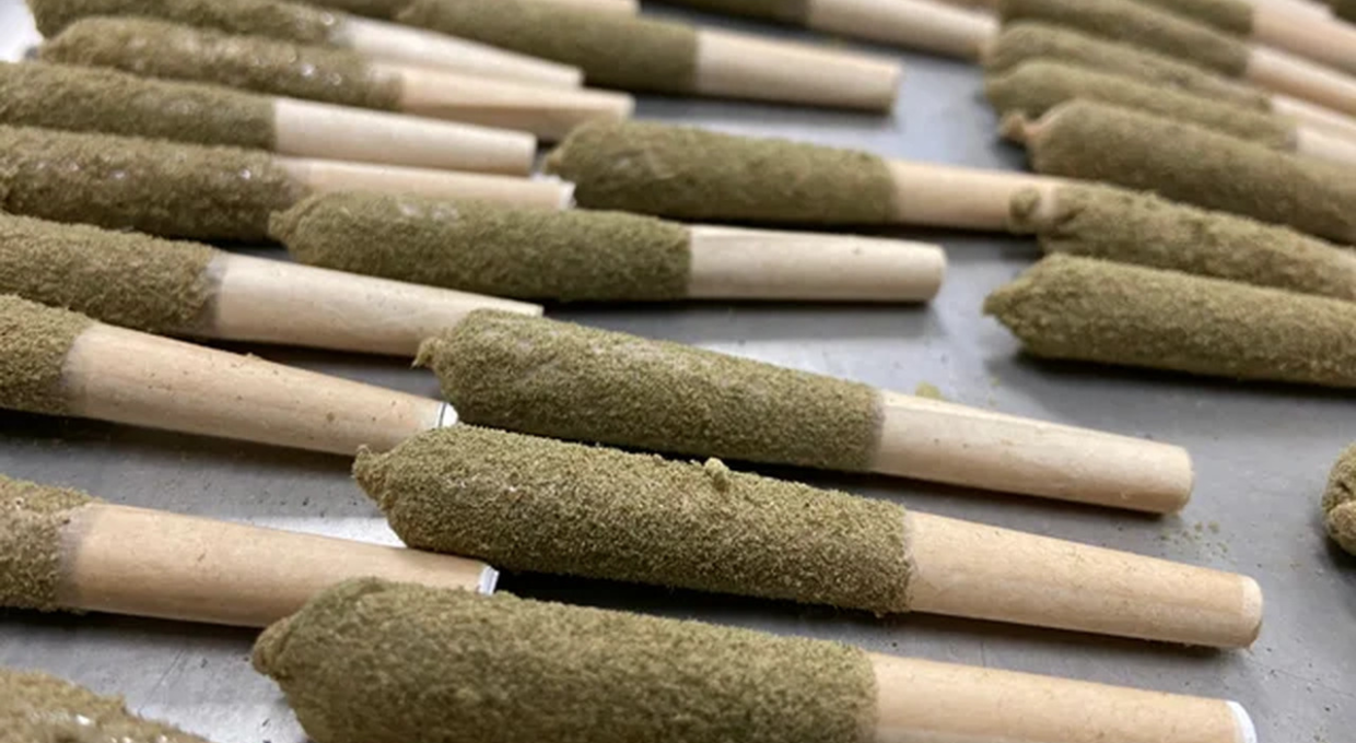 SnoCone Infused Pre Roll - Mello'Mango .8g