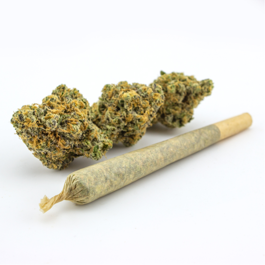 Gold Digger - Bangers 10pk - 0.5g Joints