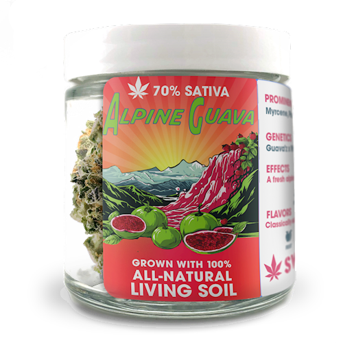 Sweetwater Farms - Alpine Guava 1g