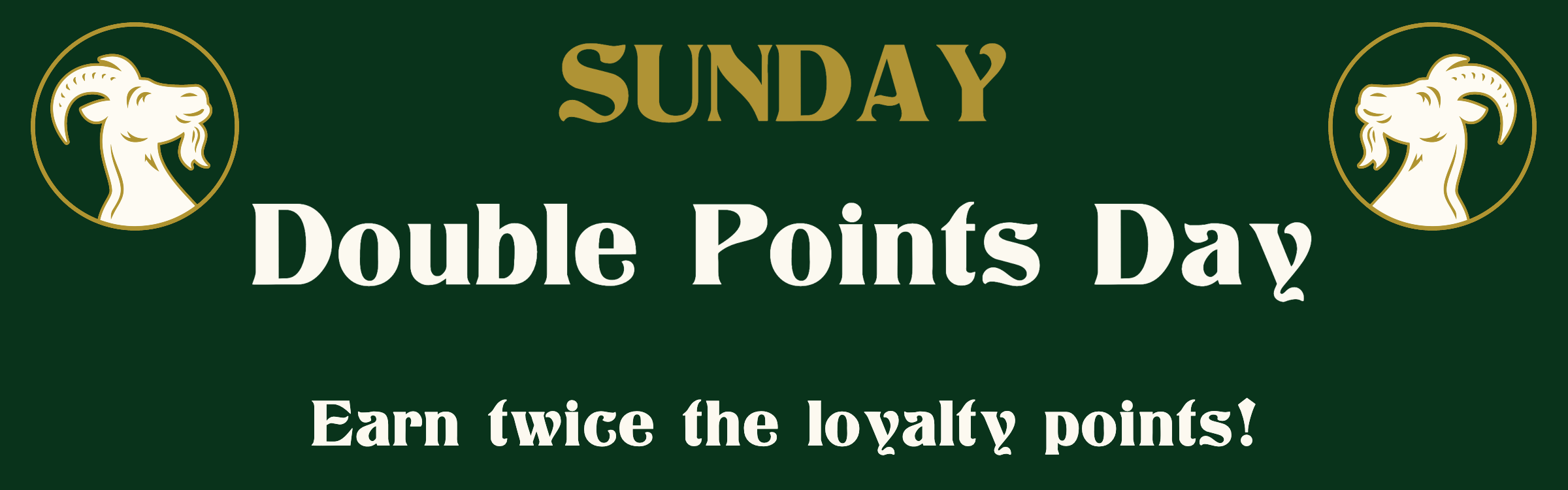 Power BI Template - Project for the web – Sensei Project Solutions™, image size:2400x750